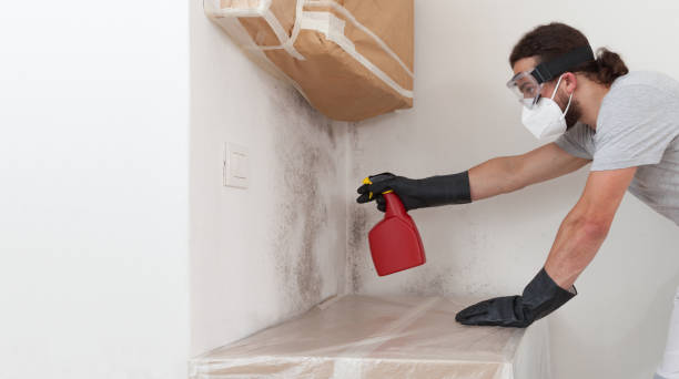 Professional Mold Remediation technician working in Barco, NC